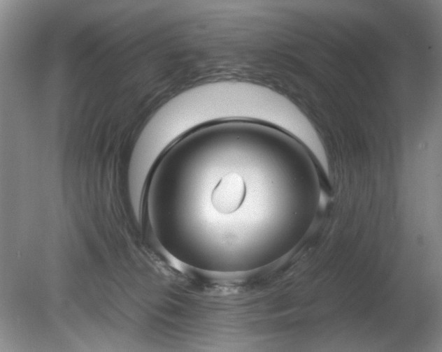 X0000081390276200701182240