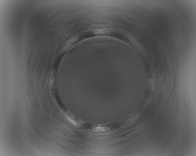 X0000081390277200701182240