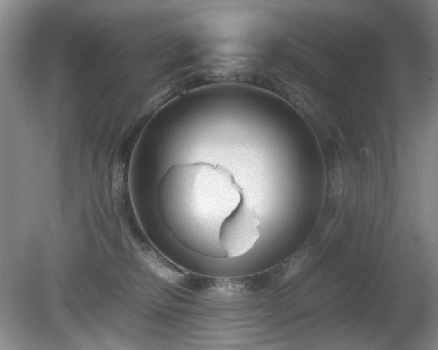 X0000081390278200701182240