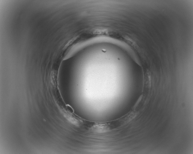 X0000081390280200701182240