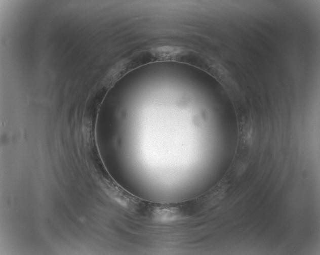 X0000081390283200701182240