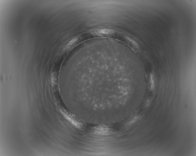 X0000081390284200701182240