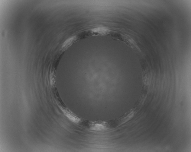 X0000081390285200701182240