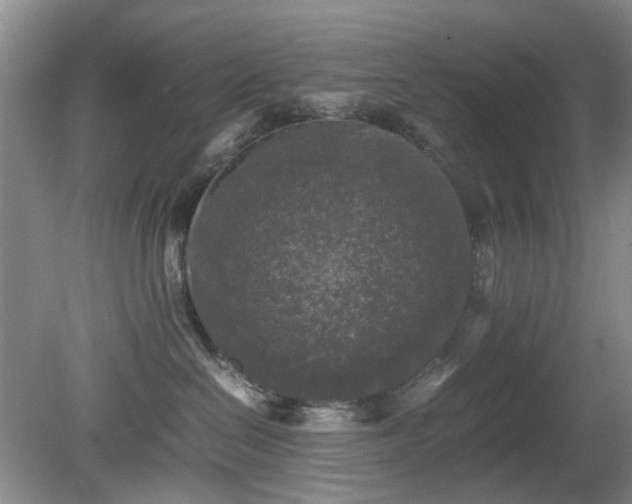 X0000081390286200701182240