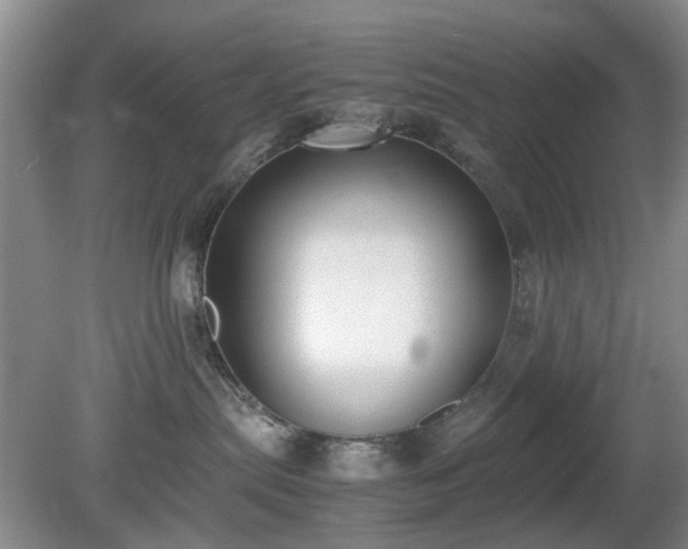 X0000081390287200701182240