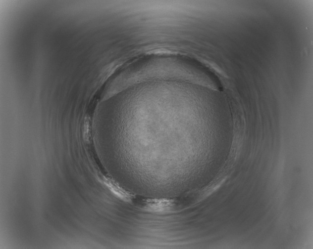 X0000081390288200701182240