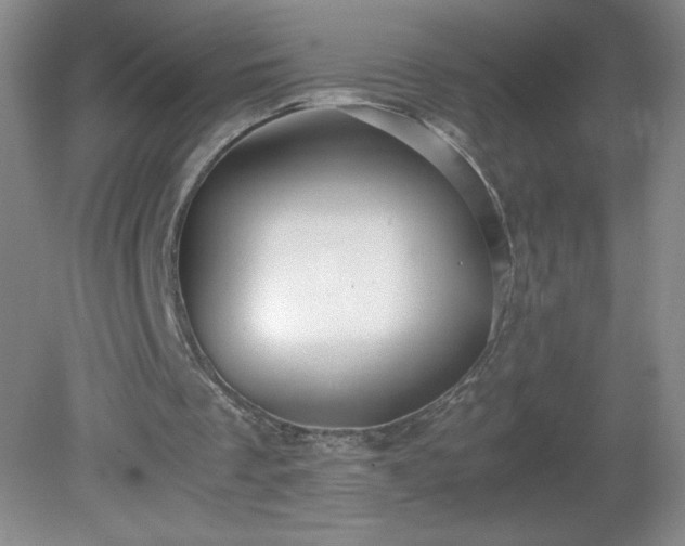 X0000081390289200701182239