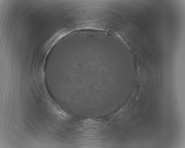 X0000081390290200701182239