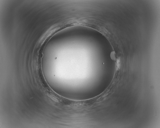 X0000081390291200701182239