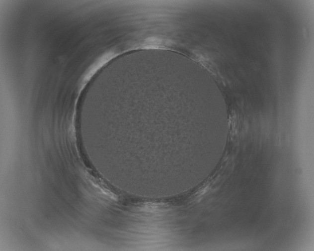 X0000081390292200701182239