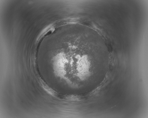 X0000081390293200701182239