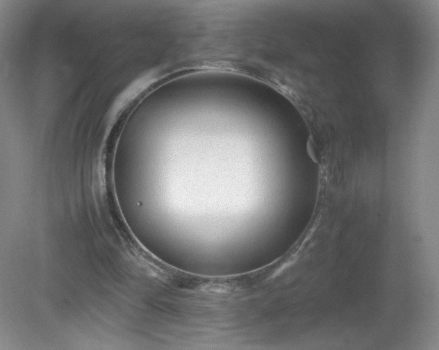 X0000081390294200701182239