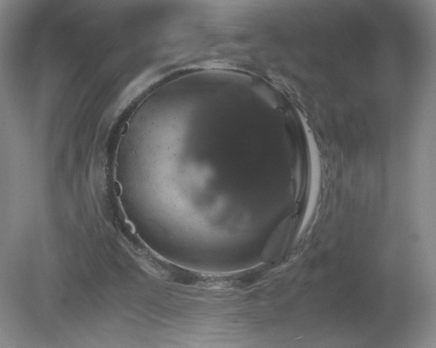 X0000081390295200701182239