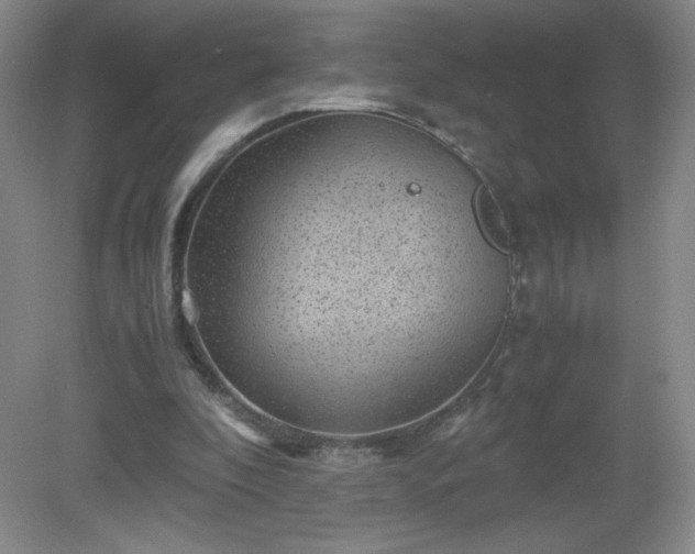 X0000081390296200701182239