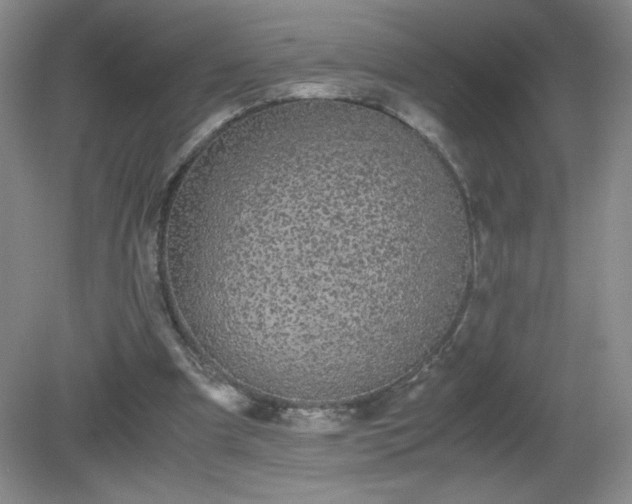 X0000081390297200701182239