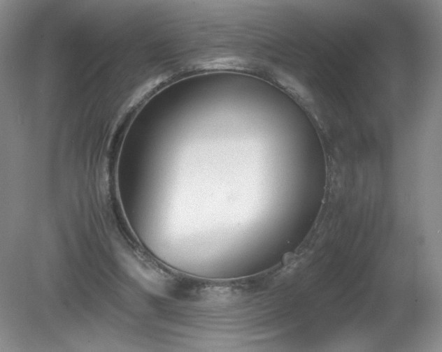 X0000081390298200701182239