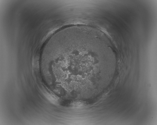 X0000081390299200701182239