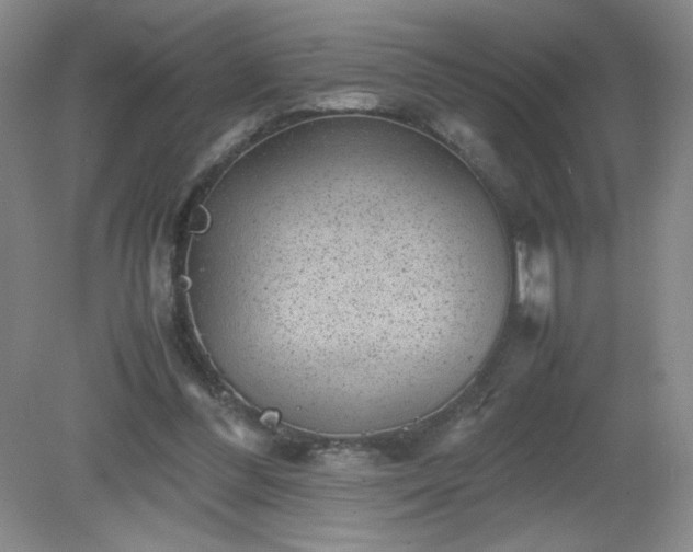 X0000081390300200701182239