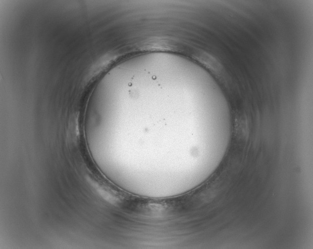 X0000081390302200701182239