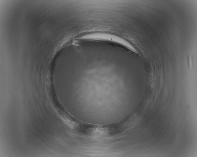 X0000081390303200701182239