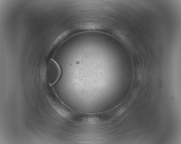 X0000081390304200701182239