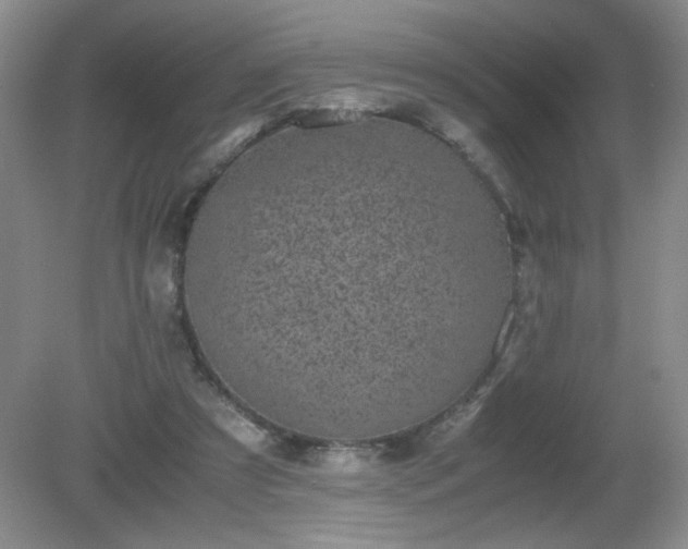 X0000081390305200701182239