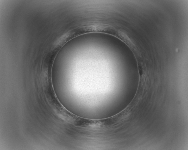 X0000081390306200701182239