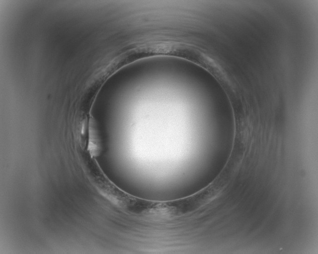 X0000081390307200701182239