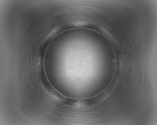 X0000081390308200701182239