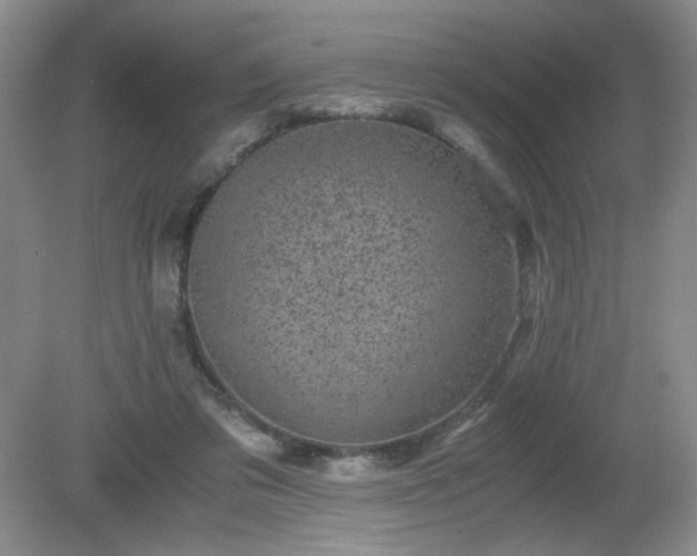 X0000081390309200701182239