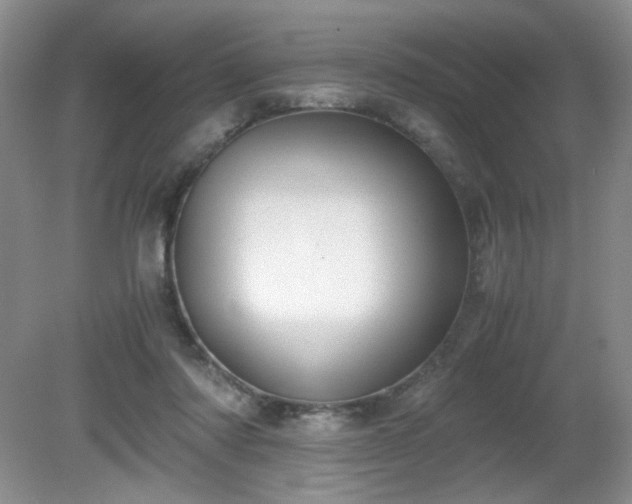 X0000081390310200701182239