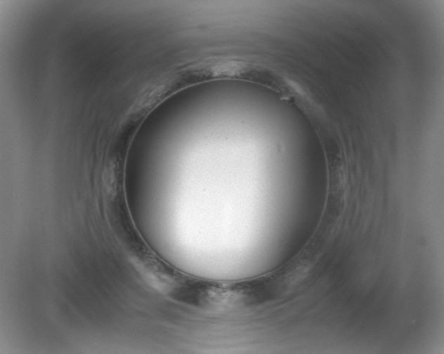 X0000081390311200701182239