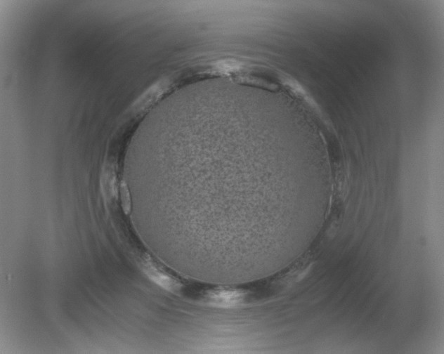 X0000081390313200701182239