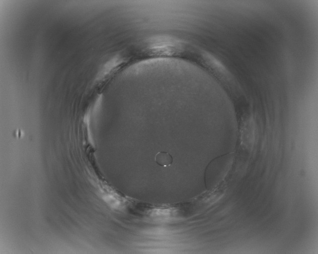 X0000081390314200701182239