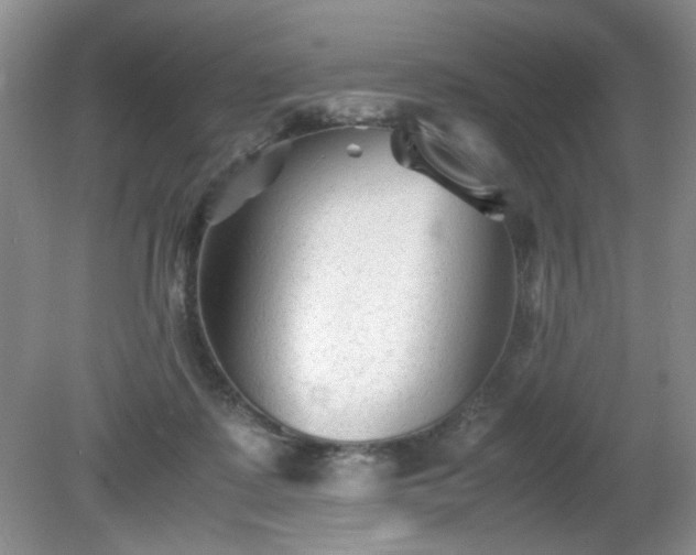 X0000081390315200701182239