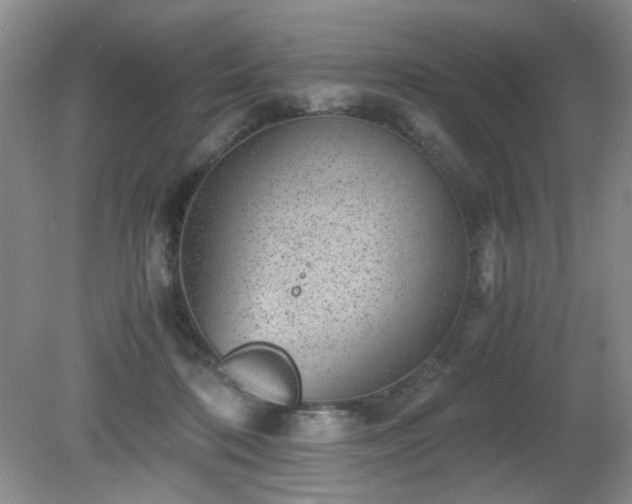 X0000081390316200701182239