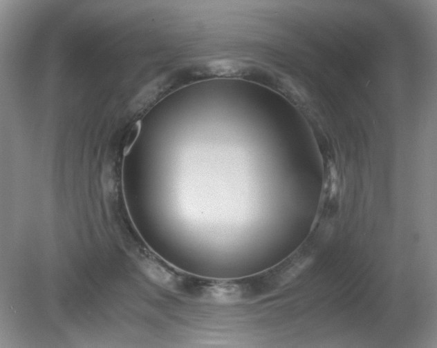 X0000081390317200701182239