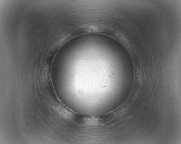 X0000081390318200701182239