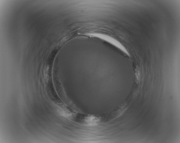 X0000081390319200701182239