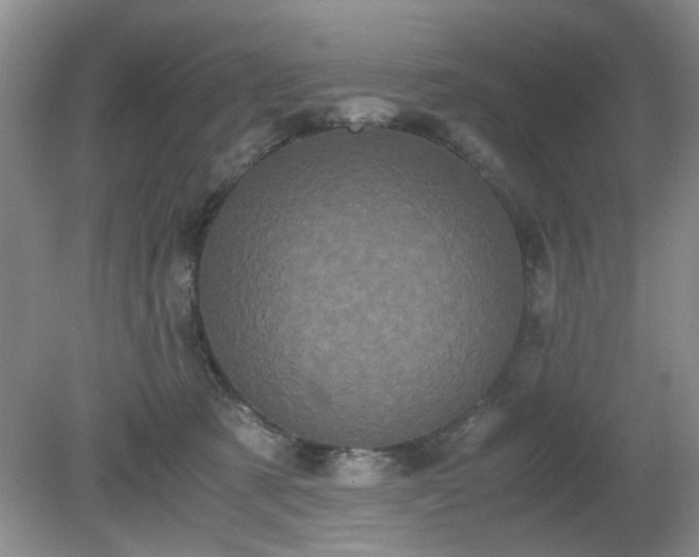 X0000081390321200701182239