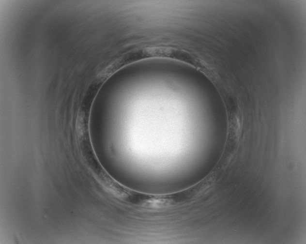 X0000081390323200701182239