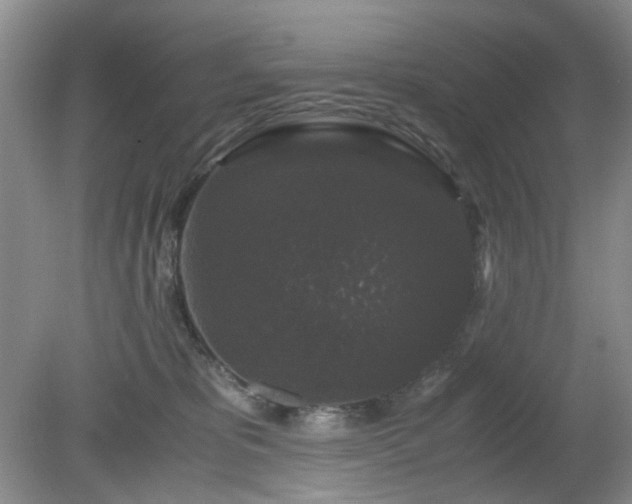 X0000081390325200701182239