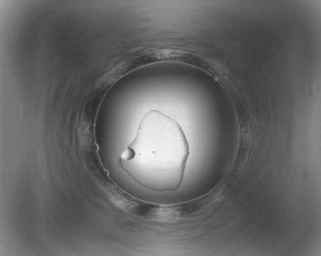 X0000081390327200701182239