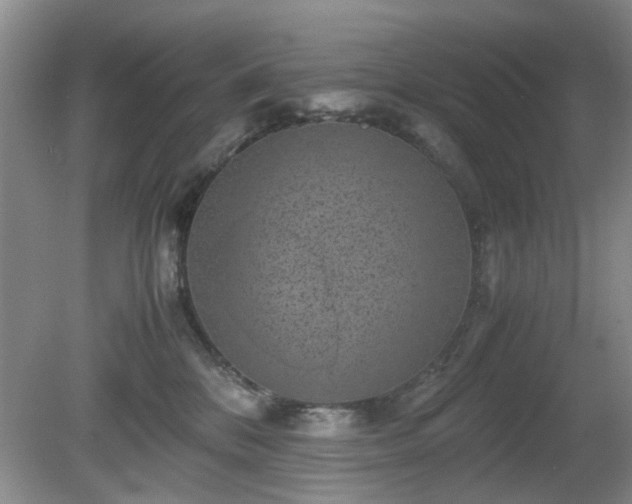 X0000081390328200701182239