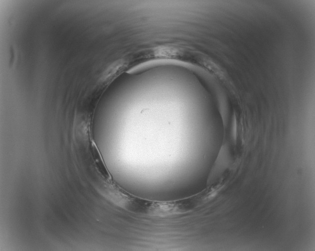 X0000081390329200701182239