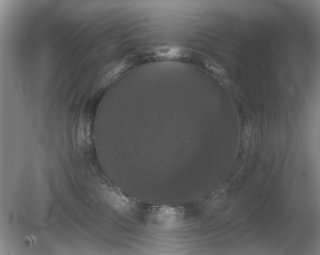 X0000081390330200701182239