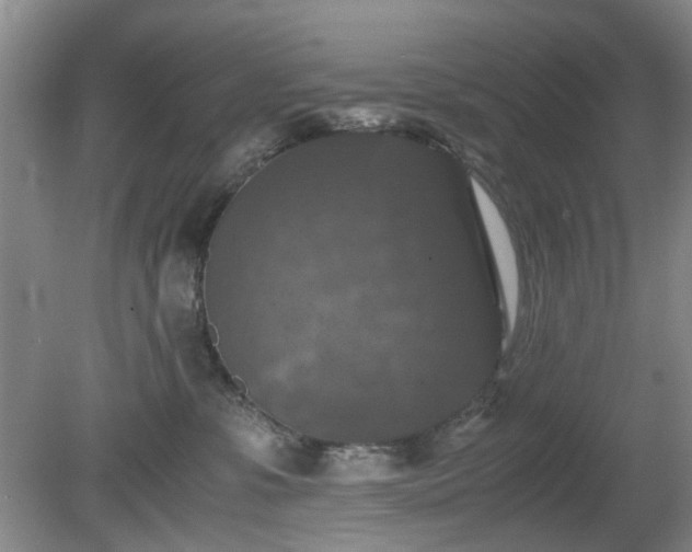 X0000081390331200701182239