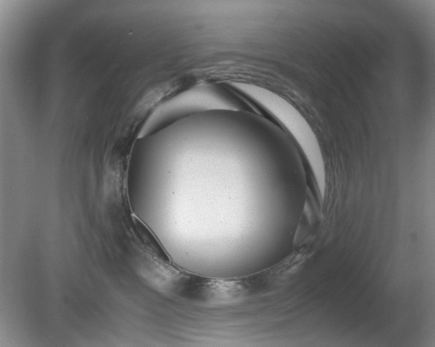 X0000081390333200701182238