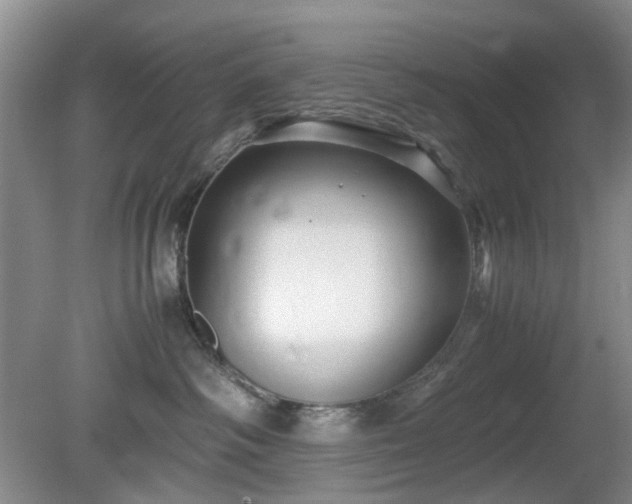 X0000081390334200701182238