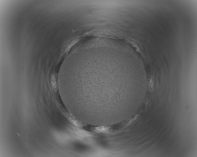 X0000081390335200701182238